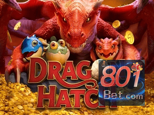 801BET PIX instantâneo Brasil - Depósito e saque em minutos 24/7